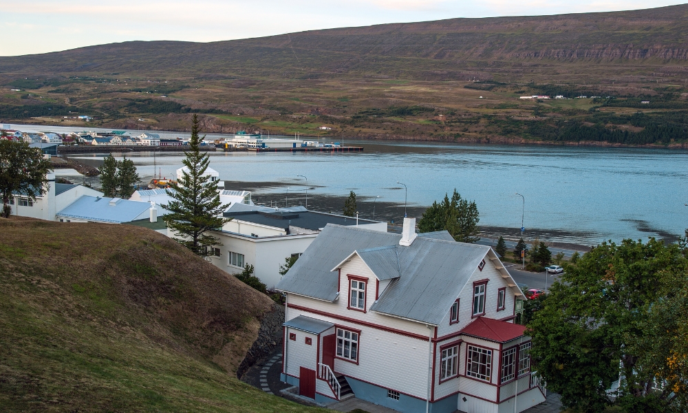 Traditional Icelandic Hospitality