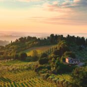 Georgia’s winemaking heritage
