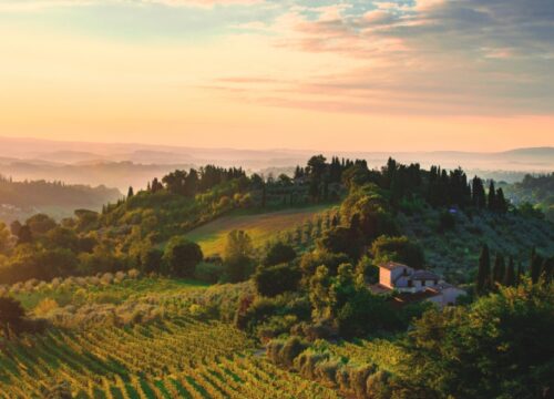 Telavi Is Europe’s Best-Kept Secret for Wine Lovers