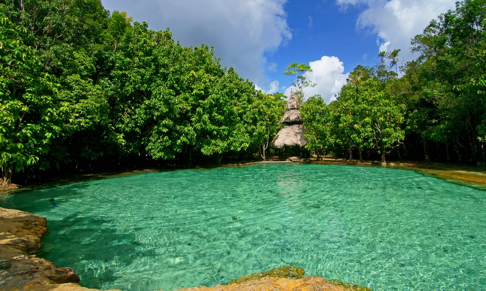 Forest Pools and Quiet Solitude