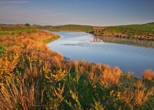 Luxury Camping in the UK for a Tranquil Summer