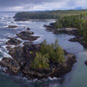 A Wilderness of Vancouver Island