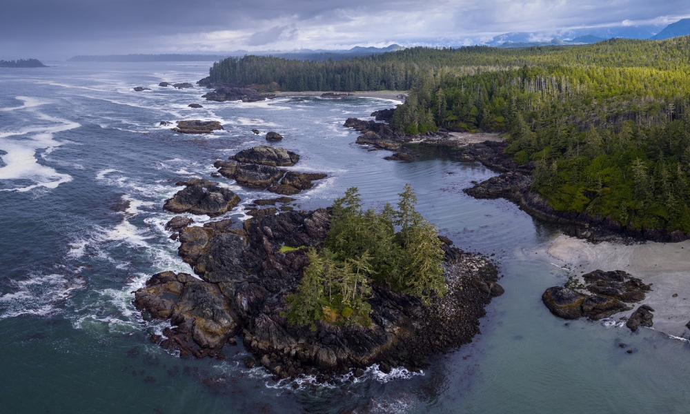A Wilderness of Vancouver Island